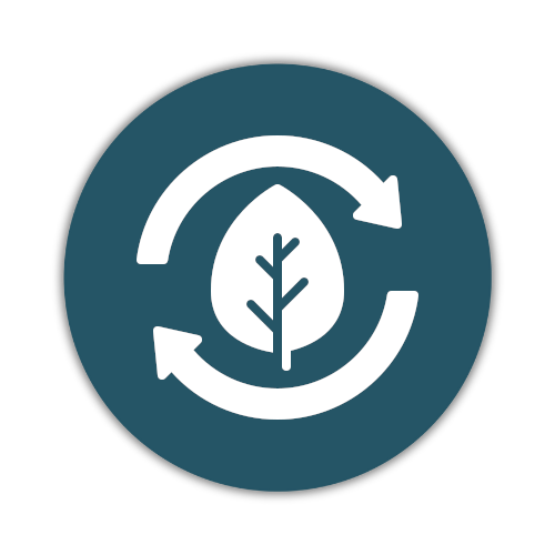 Sustainability Focus